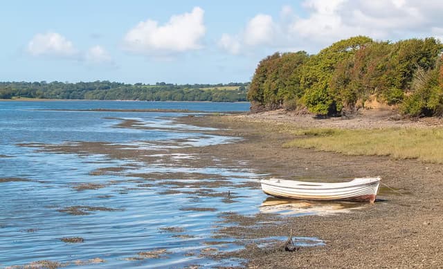 fishing and foraging wales