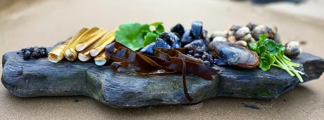 forage pembrokeshire