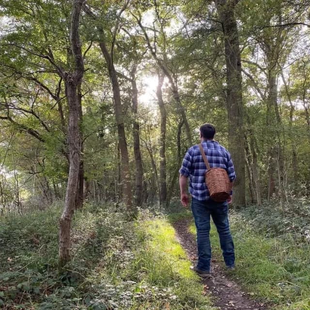 force of nature foraging