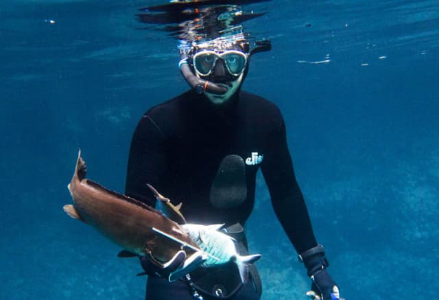 free divers spear fishing