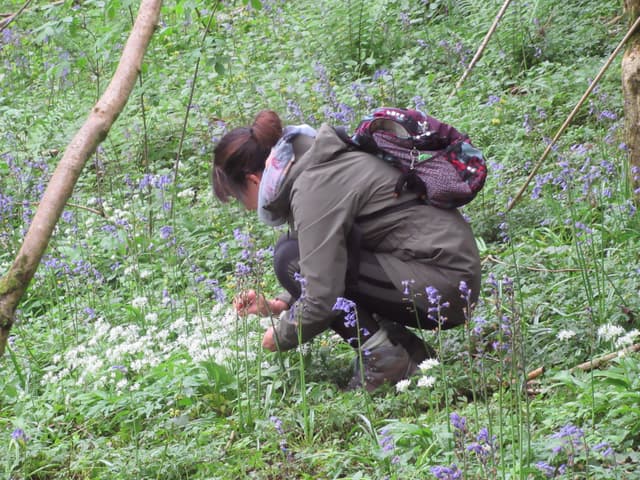 jack raven bushcraft