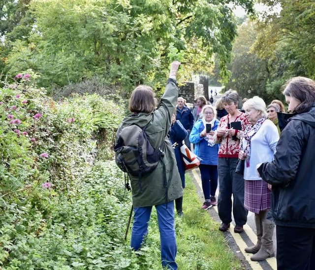 really wild foraging