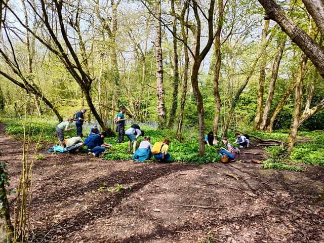 steve england foraging