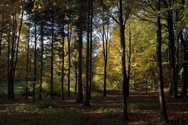 sustainability centre