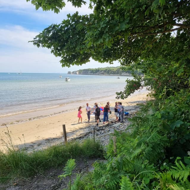 volf coastal foraging